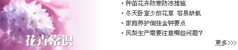 [2009特色評選] 中華人民共和國農業部網站榮獲“用戶滿意獎”