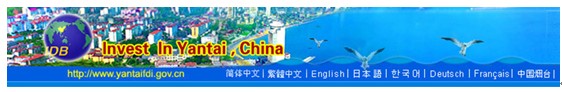 [第五屆國際化會議]上海市靜安區政府門戶網站點評