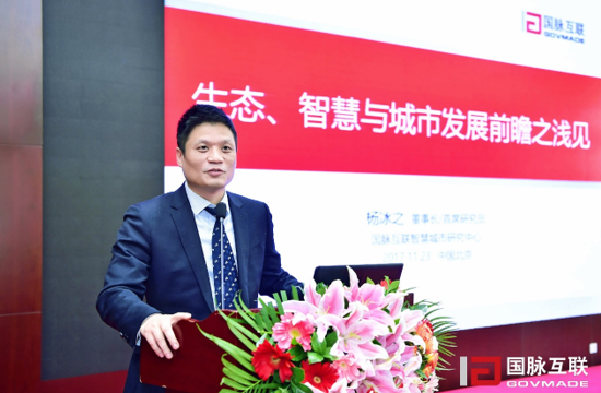 國脈互聯董事長/首席研究員楊冰之
