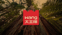 大王椰LOGO煥新背后，如何打造年輕人的品牌！